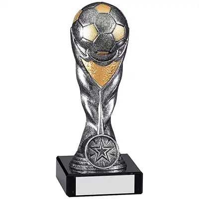 16.5cm Ball Trophy Silver/Gold