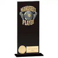 Euphoria Hero Managers Player Award 200mm