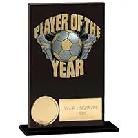 Euphoria Hero Player of the Year Award 125mm