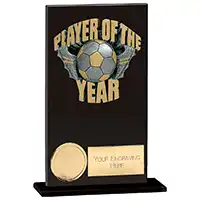 Euphoria Hero Player of the Year Award 150mm