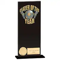 Euphoria Hero Player of the Year Award 225mm