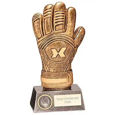 Instinct Football Goalkeeper Award 225mm