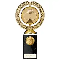 Visionary Football Award 220mm